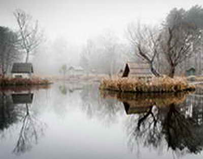 Ата Заңдағы тіл мәселесі: Жаңа жобадағы заңдық нақтылаулар