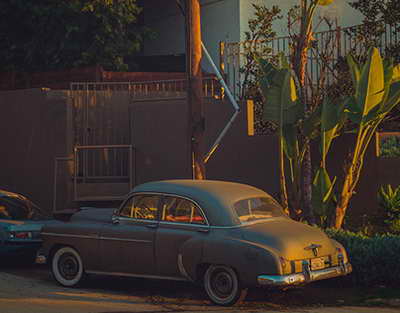 Қару ұстауға талап қатаяды: Сенат қауіпсіздікке қатысты жаңа заңды мақұлдады