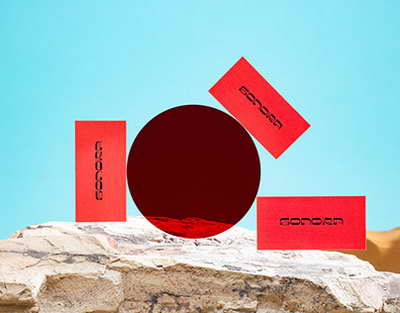 İntellektual görünmək üzrə çoxlu cəhdlər müəllifi Ayaz Salayev